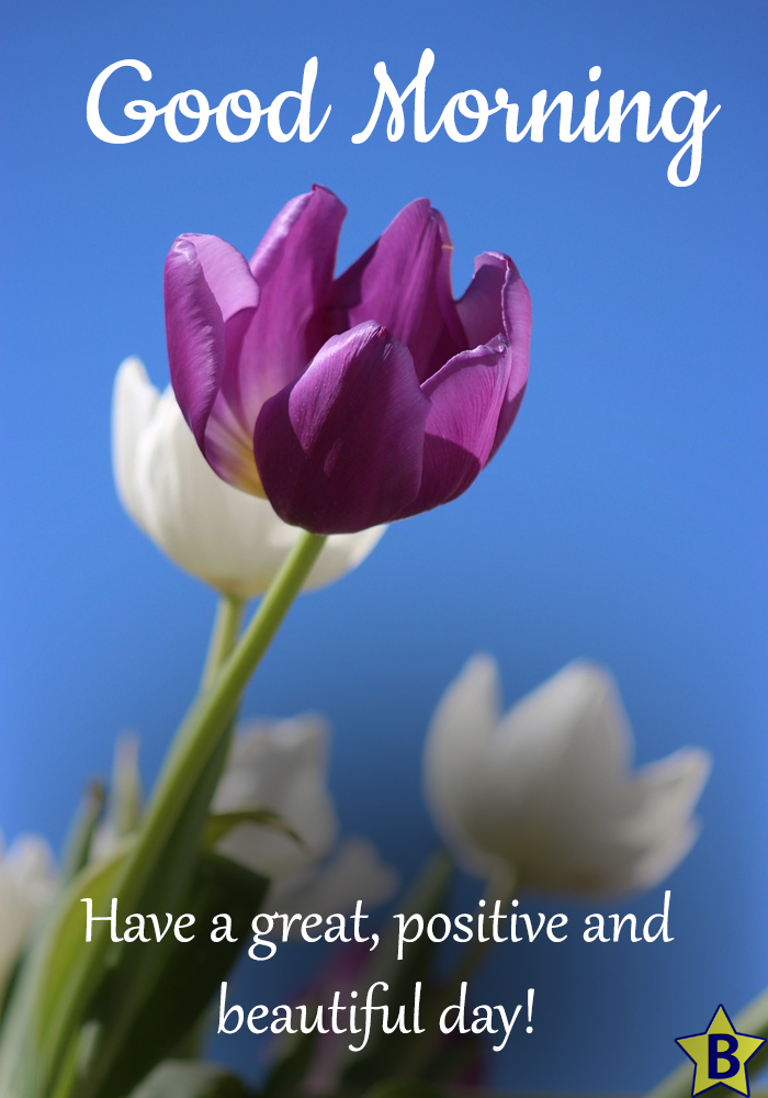 beautiful flowers images with good morning messages