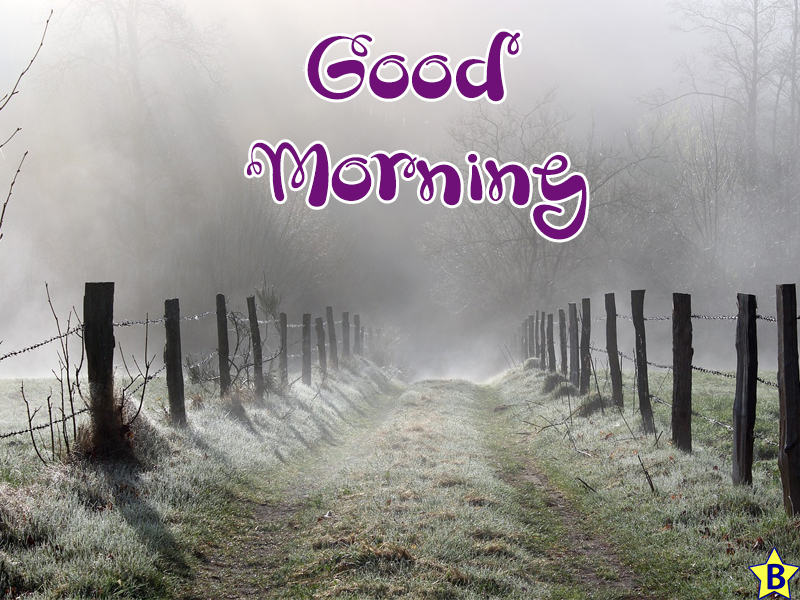 beautiful good morning winter nature images