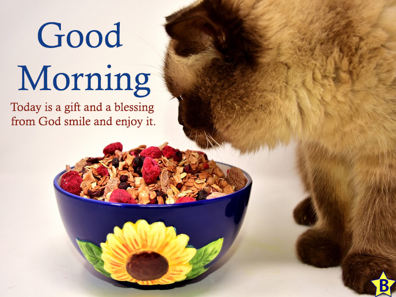 best good morning blessings images and quotes