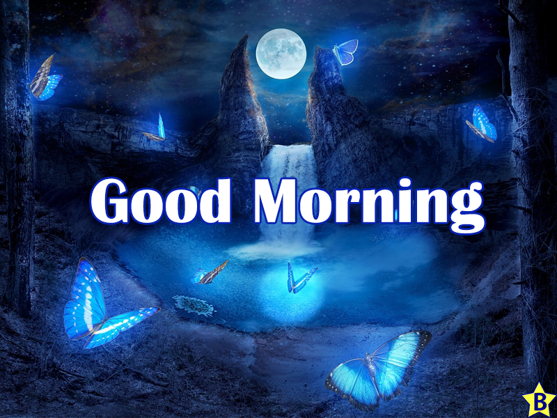 cute good morning winter nature images