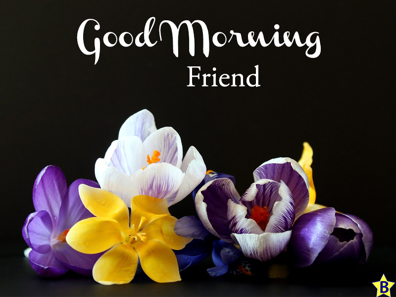 friend beautiful flowers good morning images