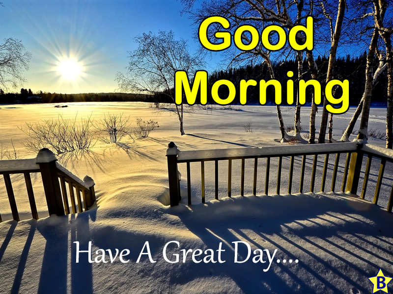 good morning winter nature image