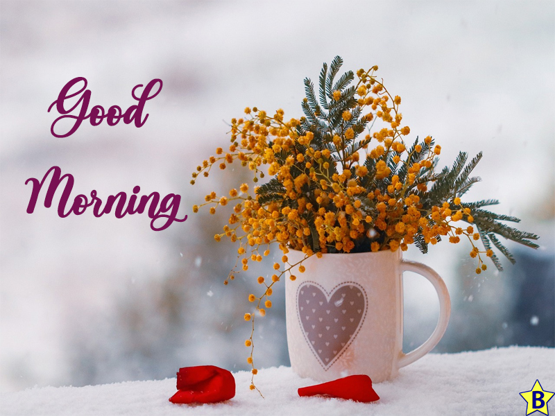 good morning winter nature images with heart