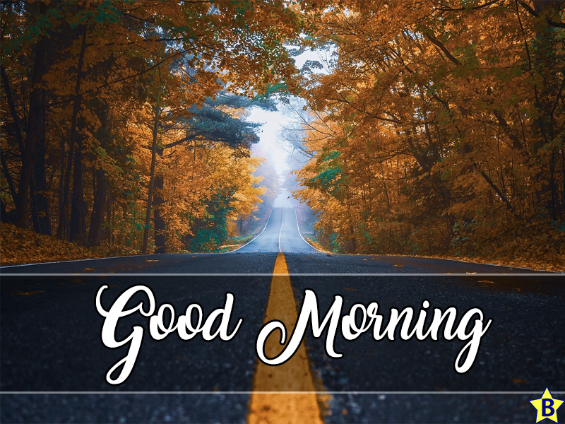 good morning winter nature picture