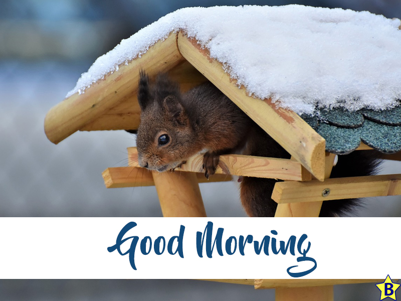 good morning winter nature whatsapp images