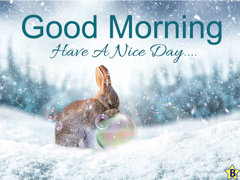 have a nice day good morning winter nature images