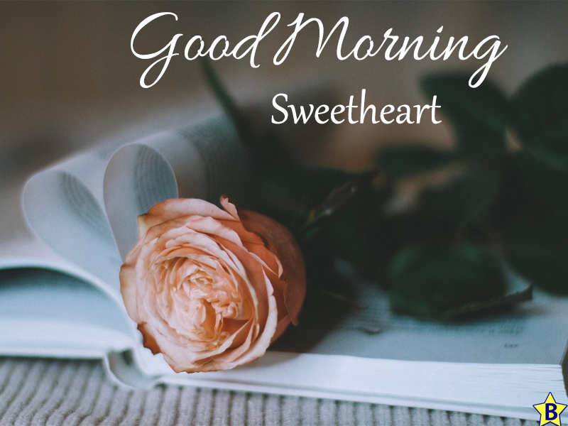 love beautiful flowers good morning images