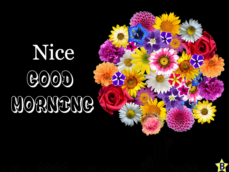 nice beautiful flowers good morning images