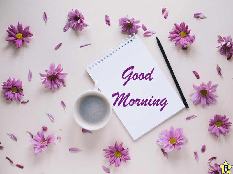 purple good morning beautiful flowers images