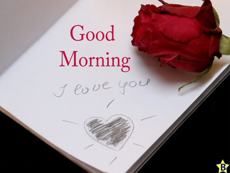 special love beautiful flowers good morning images