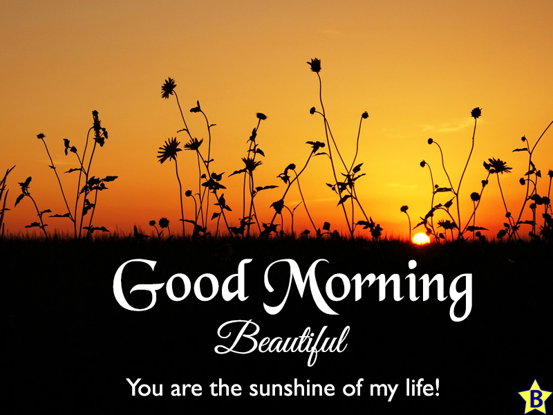 sunshine good morning blessings images and quotes