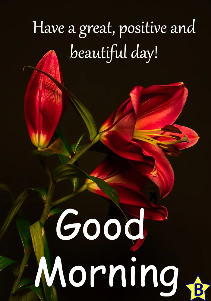 thought positive beautiful flowers good morning images