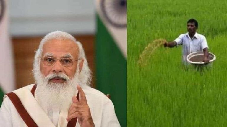 PM Kisan Status Check 2021 List Name PM Kisan Status Check 2021 List Name